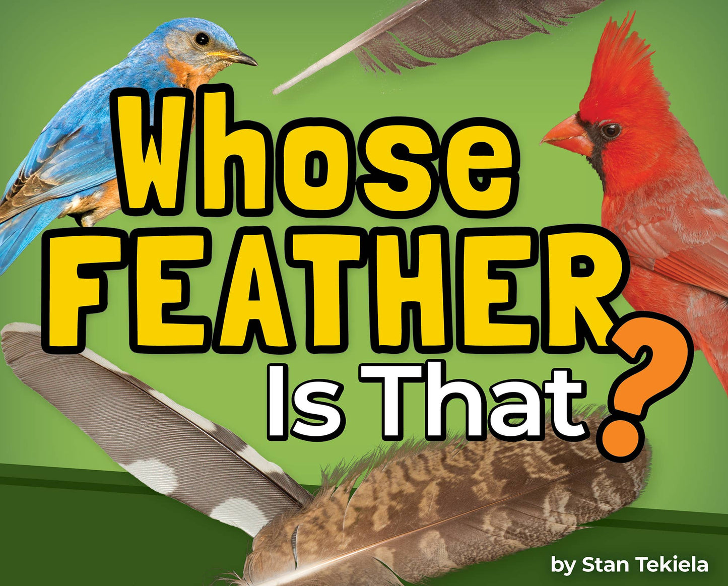 🪶 Whose Feather Is That? — Interactive Nature & Bird Book 🐦