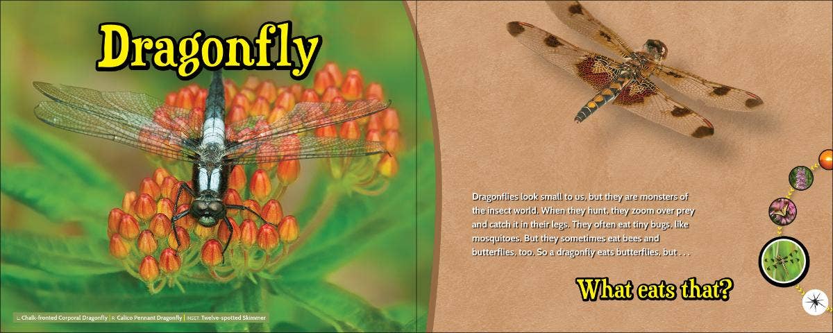 🦁 What Eats That? – Wildlife Nature Game & Learning Book 📘🌿