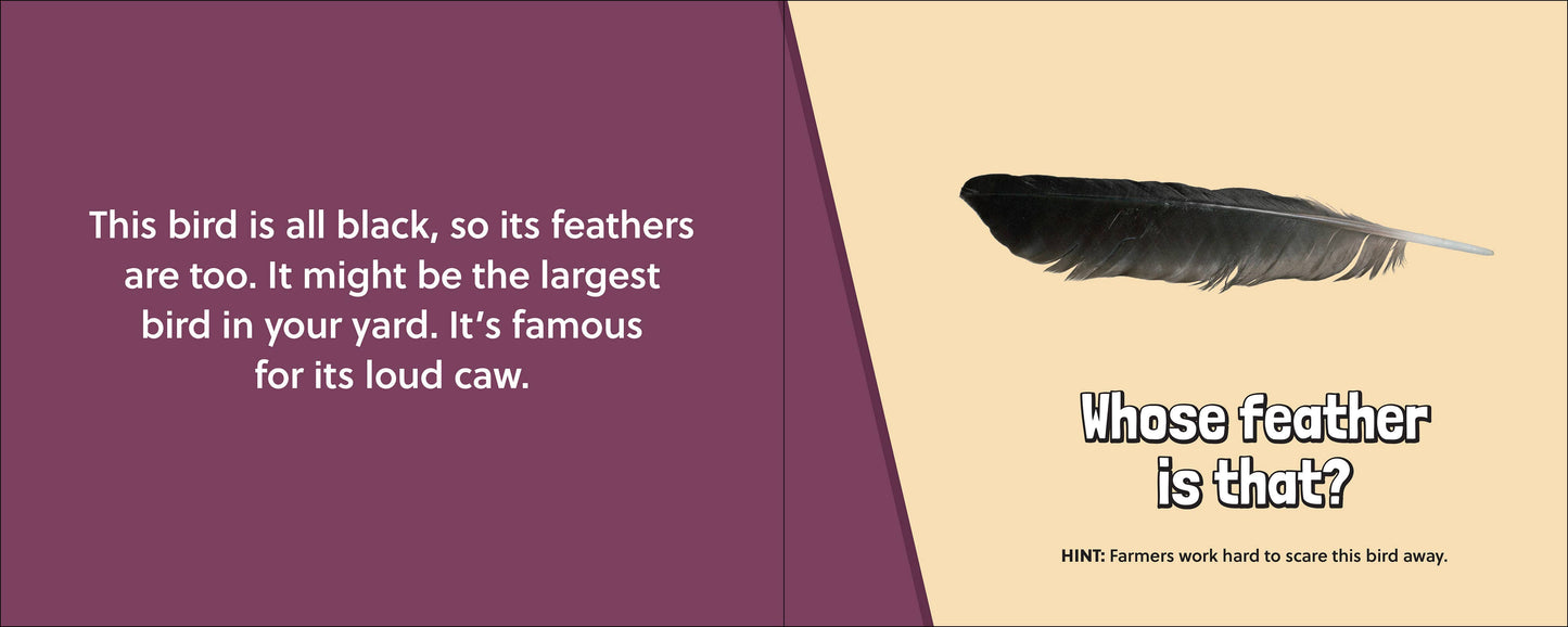 🪶 Whose Feather Is That? — Interactive Nature & Bird Book 🐦