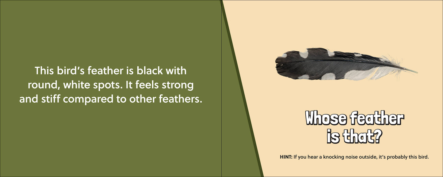 🪶 Whose Feather Is That? — Interactive Nature & Bird Book 🐦