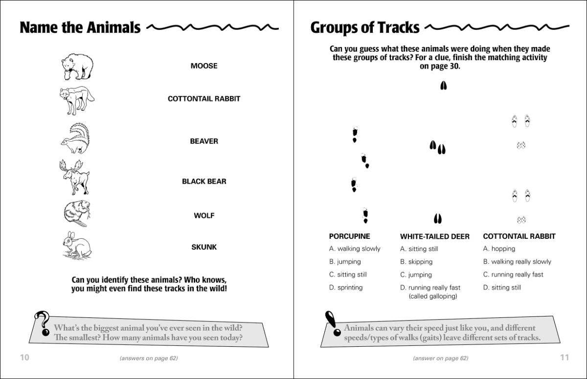 🐾 Animal Tracks Activity Book – Explore Nature & Learn! 🌿