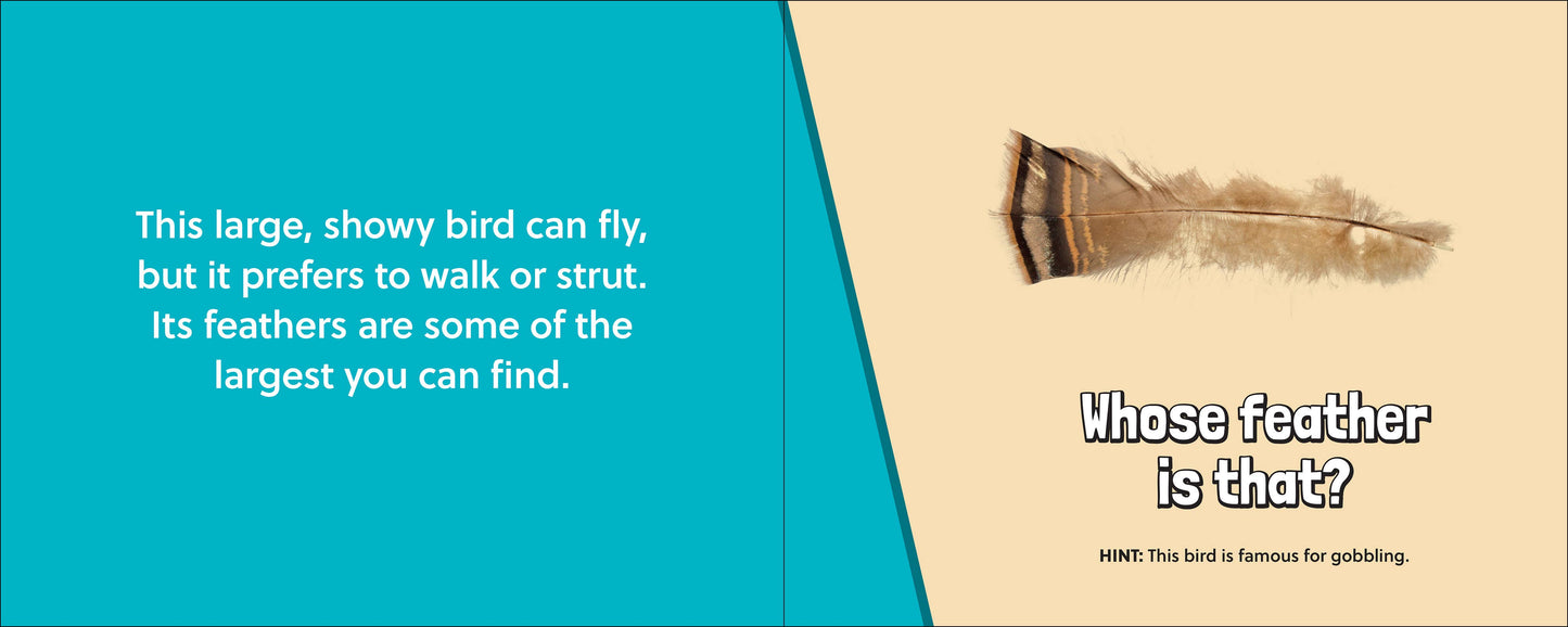 🪶 Whose Feather Is That? — Interactive Nature & Bird Book 🐦