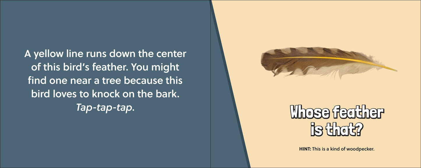 🪶 Whose Feather Is That? — Interactive Nature & Bird Book 🐦