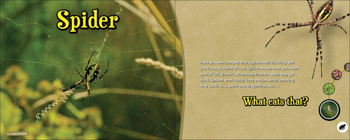 🦁 What Eats That? – Wildlife Nature Game & Learning Book 📘🌿