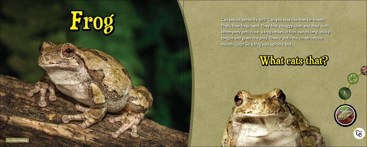 🦁 What Eats That? – Wildlife Nature Game & Learning Book 📘🌿