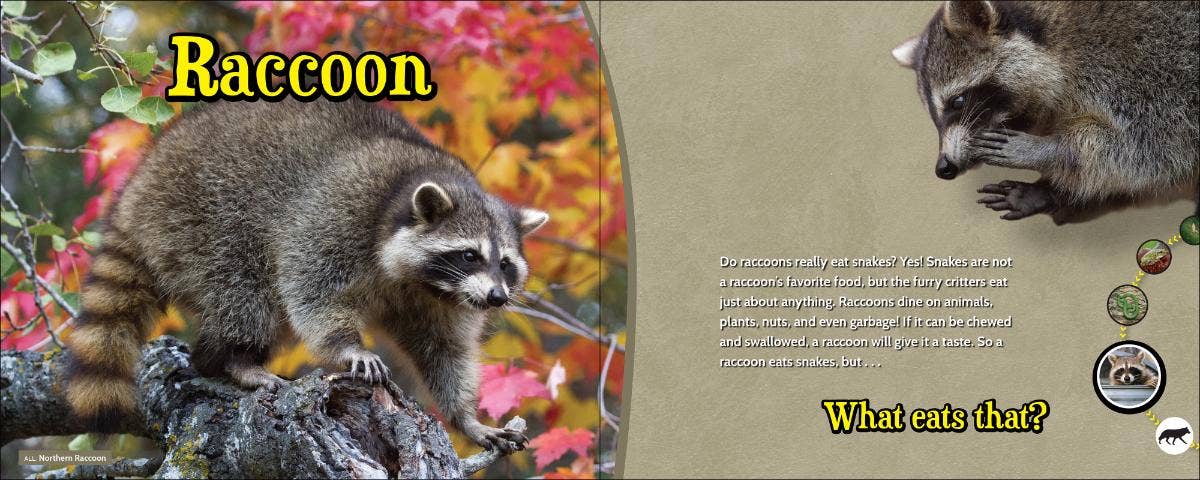 🦁 What Eats That? – Wildlife Nature Game & Learning Book 📘🌿