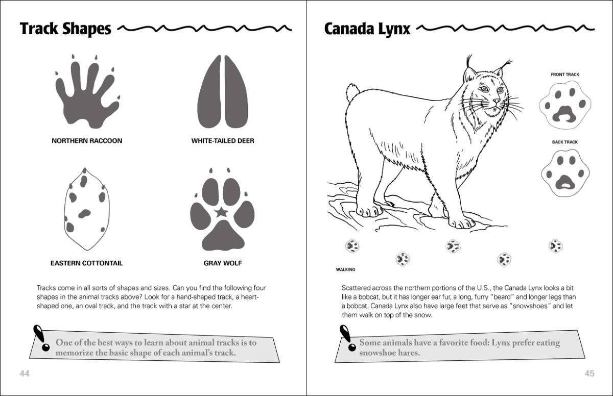 🐾 Animal Tracks Activity Book – Explore Nature & Learn! 🌿