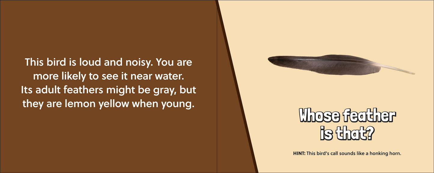 🪶 Whose Feather Is That? — Interactive Nature & Bird Book 🐦